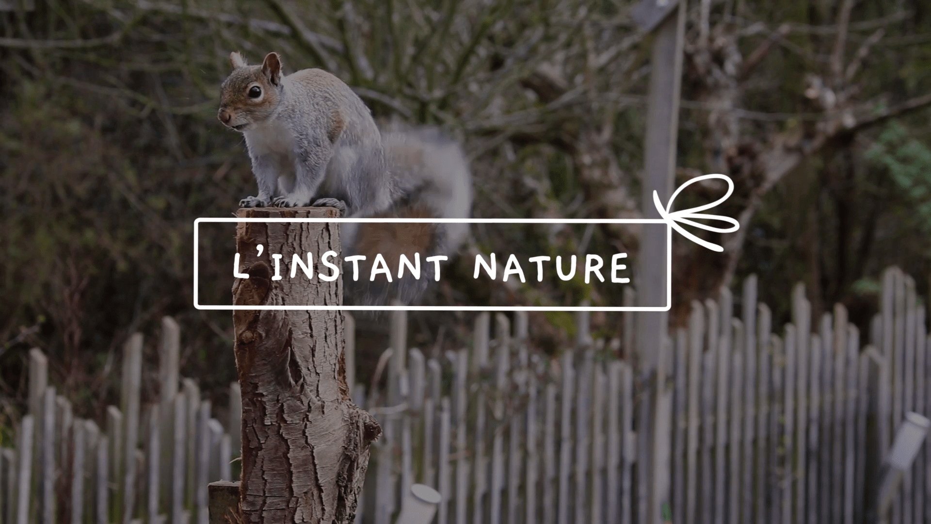 L’instant nature